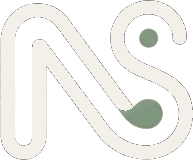 Netro Scale logo